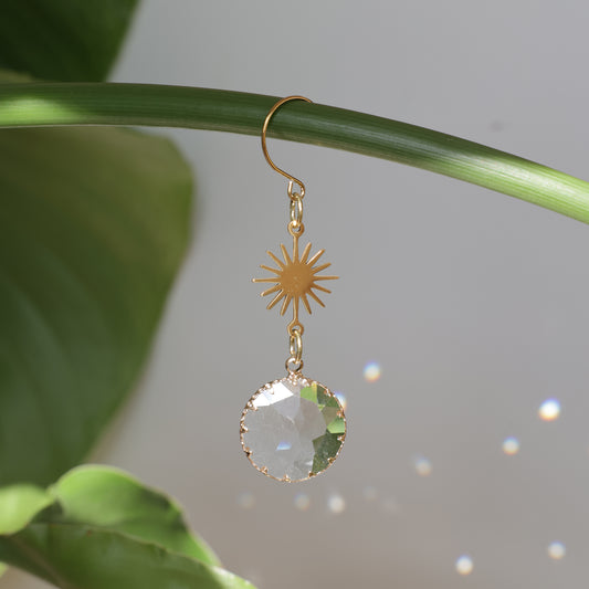 charm de plante accroché à une tige qui reflète des arcs-en-ciel