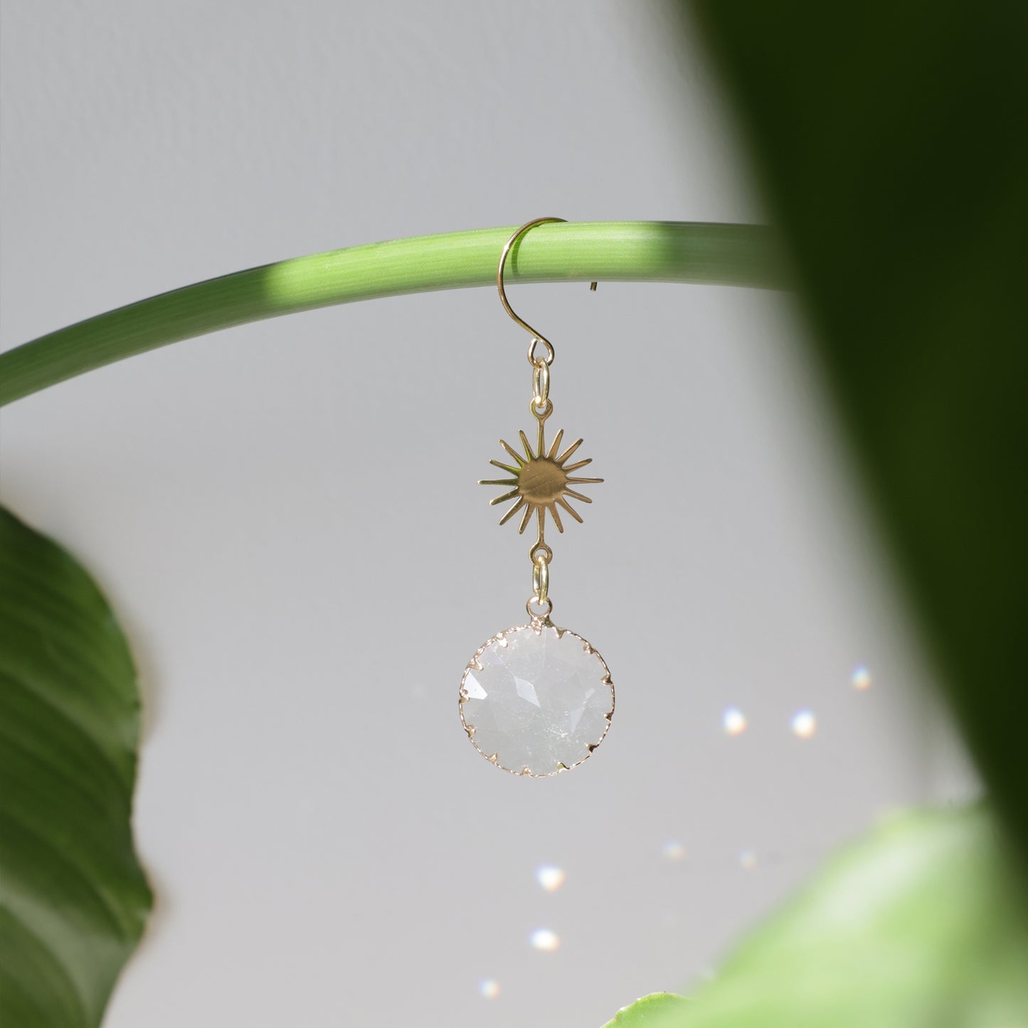 Mini attrape soleil de plante de la marque Rayonne®