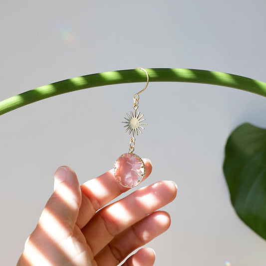 Charm de plante qui s'accroche à une plante intérieure, pour la décoration