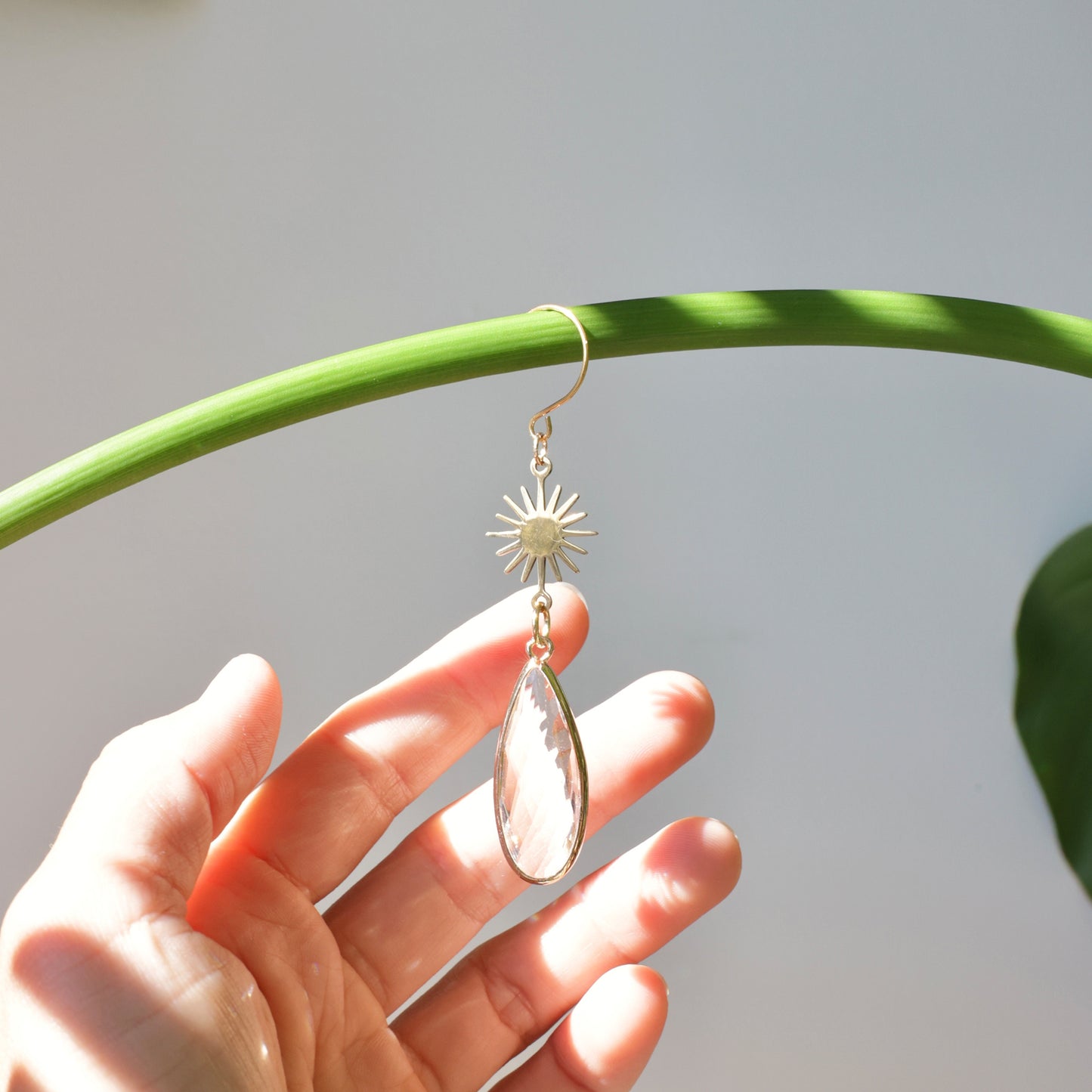 Charm de plante Daisy de la marque Rayonne®