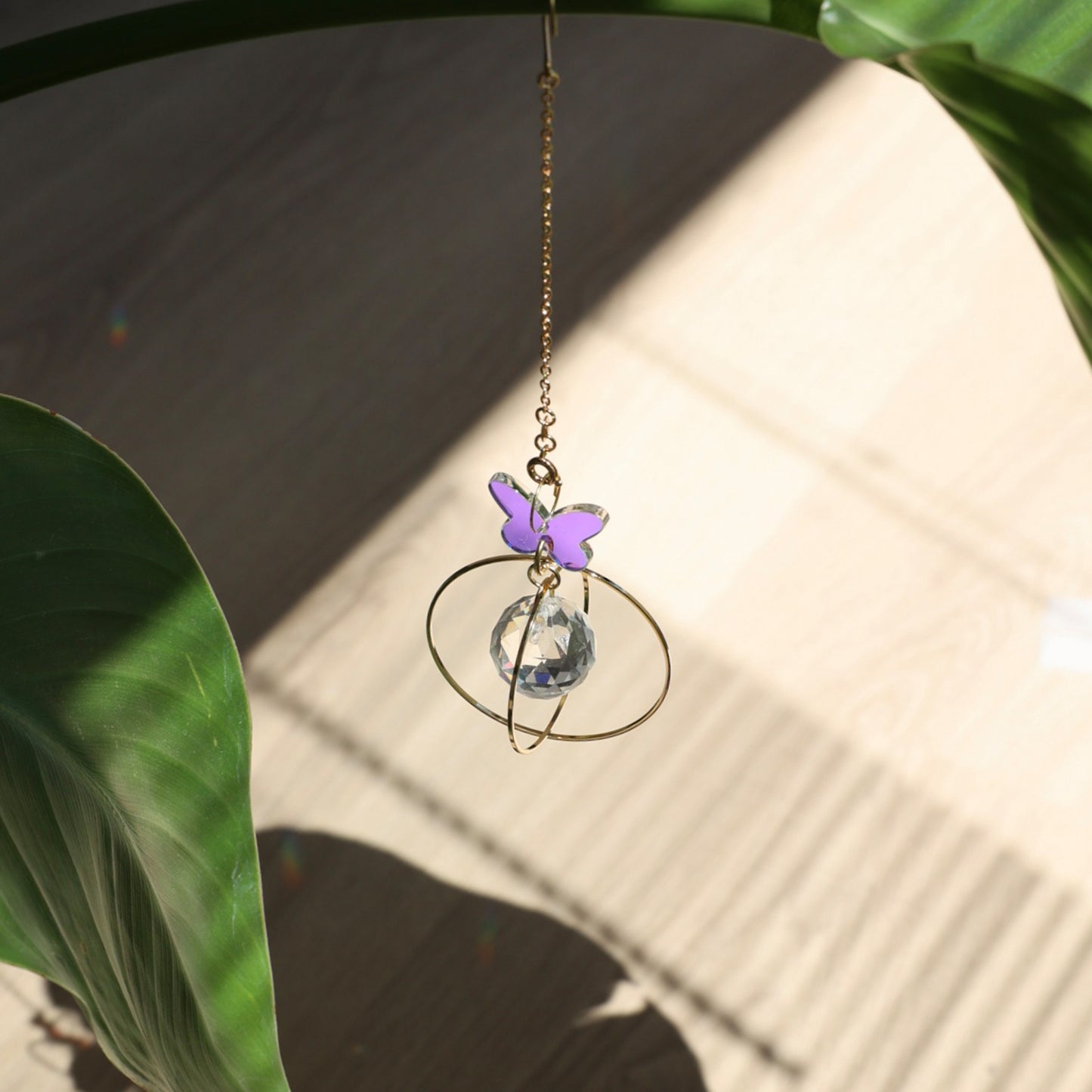 Suncatcher Éclat accroché à une plante dans un salon, symbole de renouveau et de transformation.