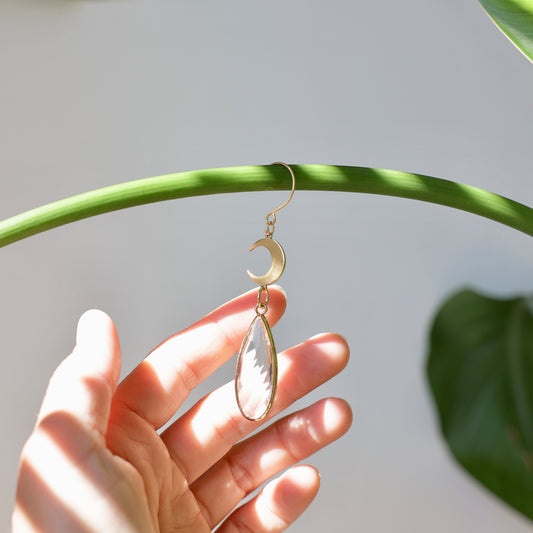 Charm de plante Suncatcher avec lune dorée, accrochée à une plante d'intérieure