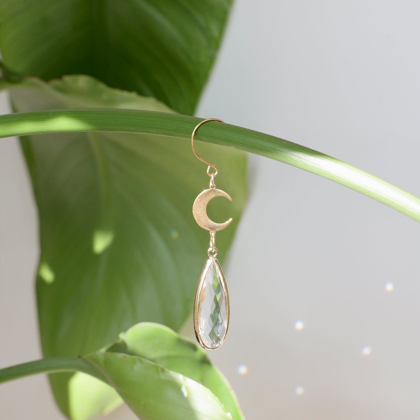 Mini attrape-soleil de plante avec une lune dorée de la marque Rayonne®