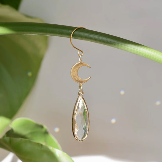 Suncatcher de plante, charms de plante à accrocher à une tige délicatement