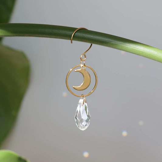 Suncatcher de plante pour la décoration intérieure, fabriqué par la marque Rayonne®