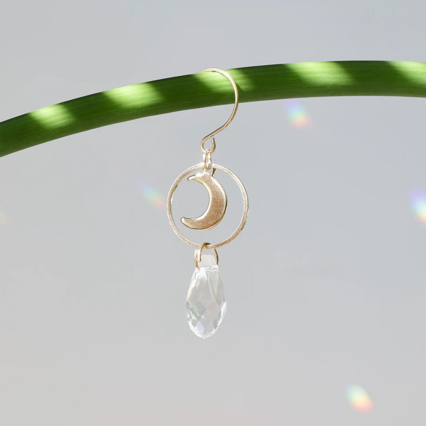 Mini suncatcher de plante avec une petite lune dorée, reflétant des éclats arcs-en-ciel