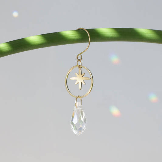 Mini suncatcher de plante avec une petite étoile dorée