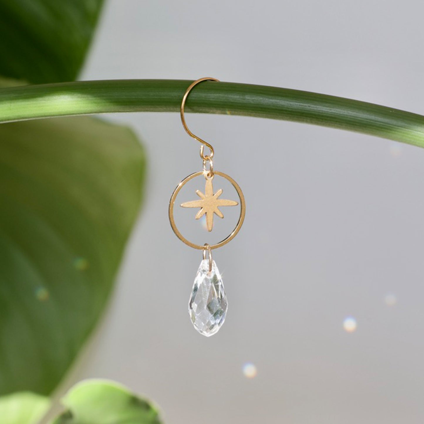 mini attrape soleil, charm de plante qui diffuse des reflets arcs-en-ciel quand il est acroché au soleil