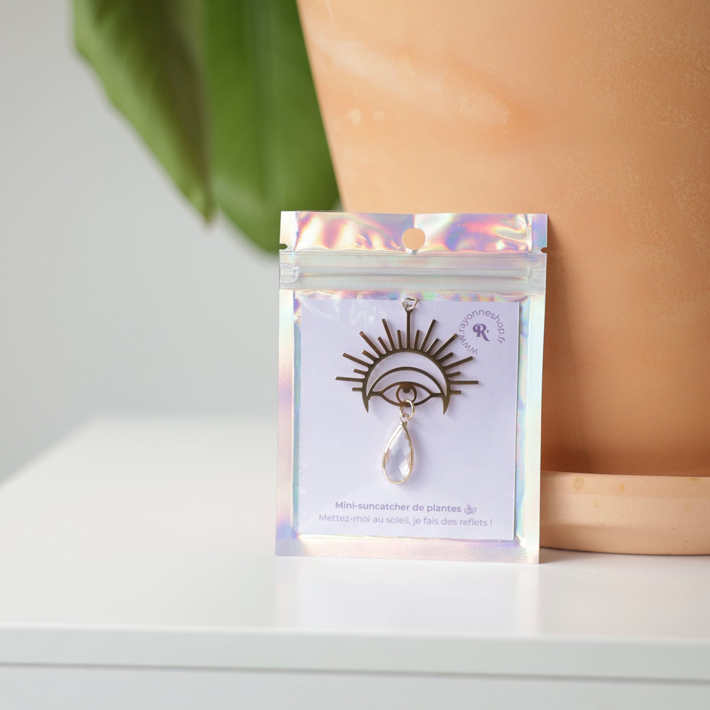 Petit Suncatcher de plante dans son packaging holographique