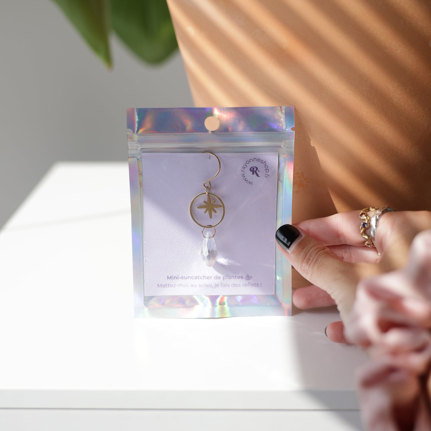 petit suncatcher de plante de la marque Rayonne®, emballé dans une pochette holographique