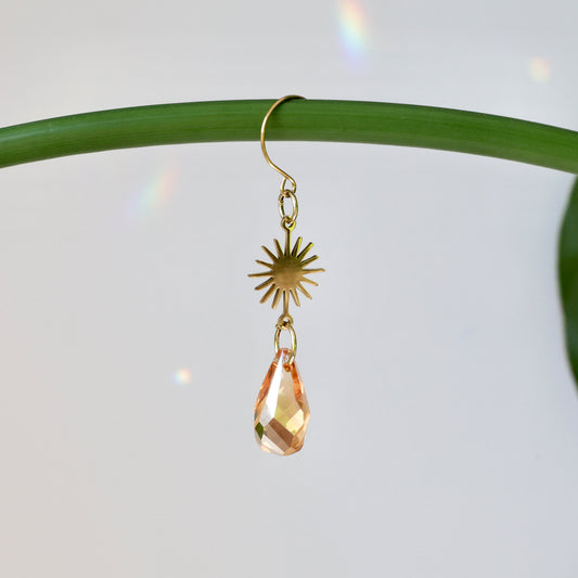 Mini-Suncatcher de plante COSY