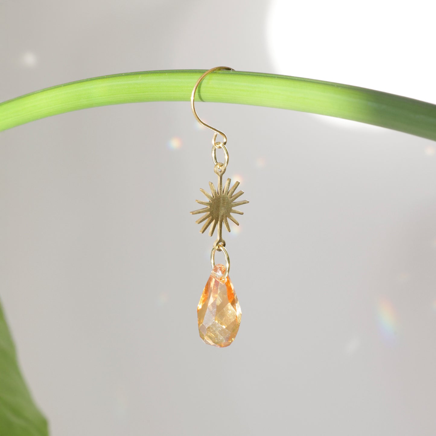 Mini-Suncatcher de plante COSY