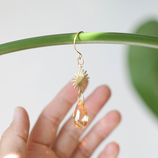 Mini-Suncatcher de plante COSY