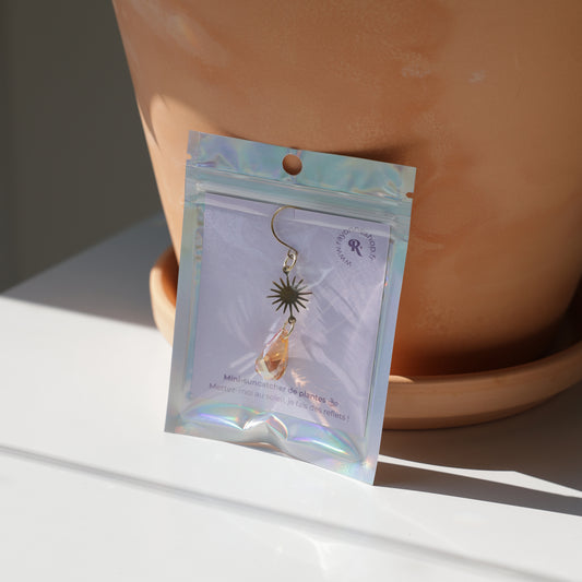 Mini-Suncatcher de plante COSY