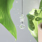 Petit suncatcher en cristal suspendu à une plante, transformant la lumière en éclats arc-en-ciel pour une ambiance magique et harmonieuse