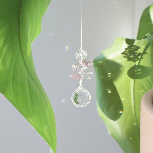 Mini Suncatcher Pink Aura suspendu à une plante près d’une fenêtre, projetant des reflets arc-en-ciel dans la pièce.