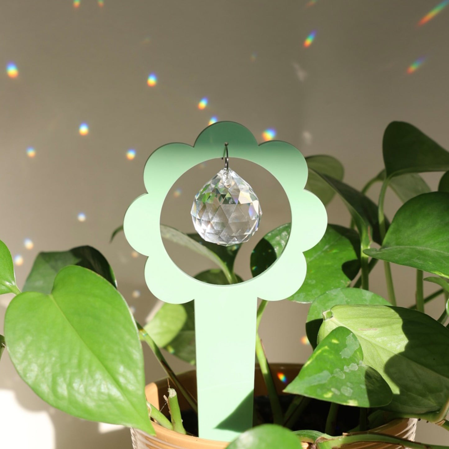 Suncatcher, Accessoire à planter, Suncatcher à planter