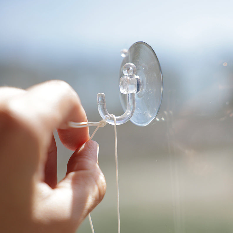 Main plaçant le Suncatcher Rayonne® contre une fenêtre ensoleillée, grâce à la ventouse fournie