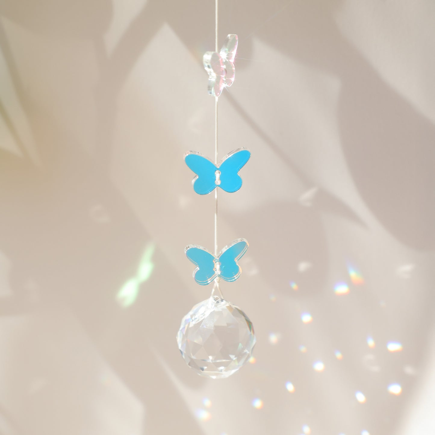 Attrape soleil papillon, symbole de renouveau et de changement 