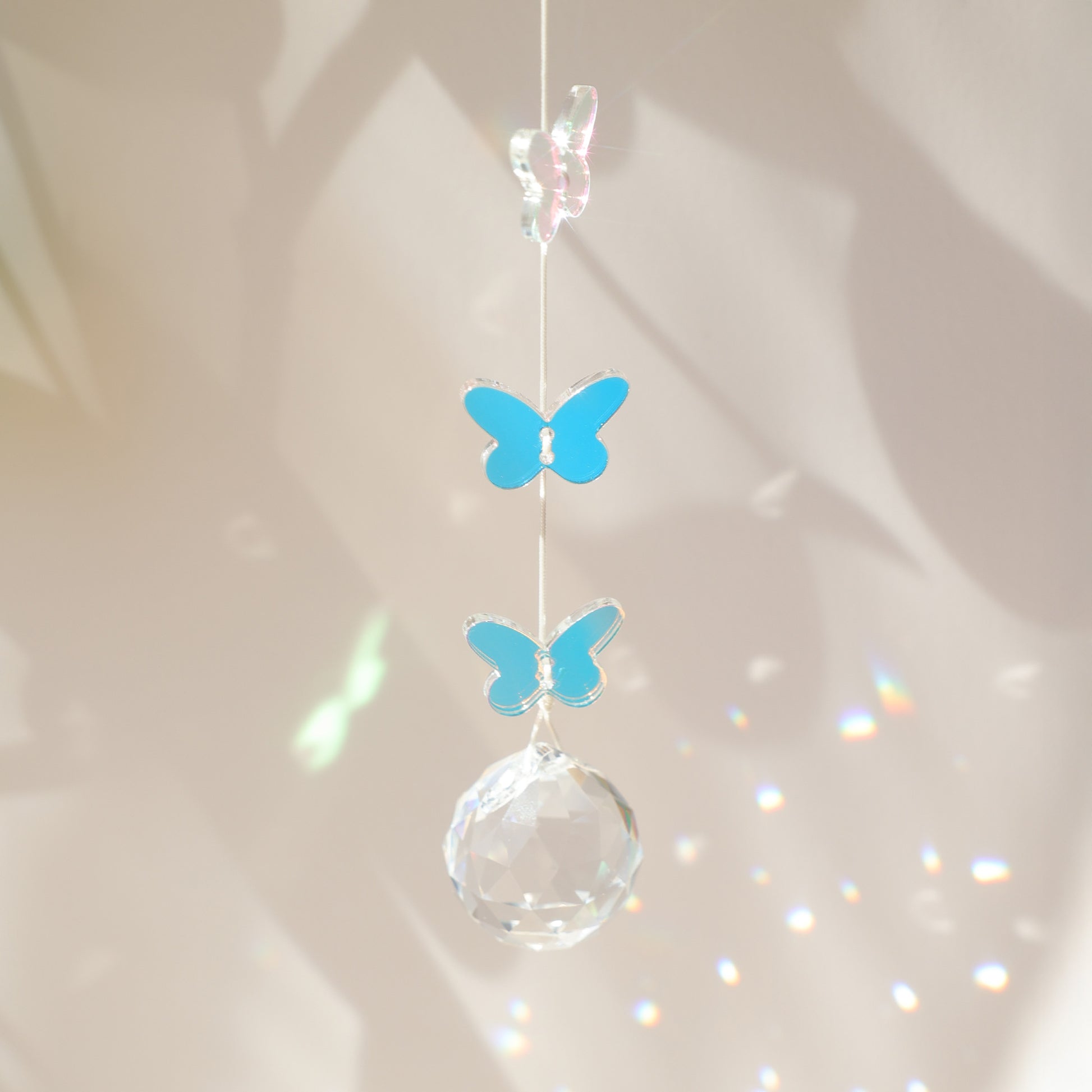 Attrape soleil papillon, symbole de renouveau et de changement 