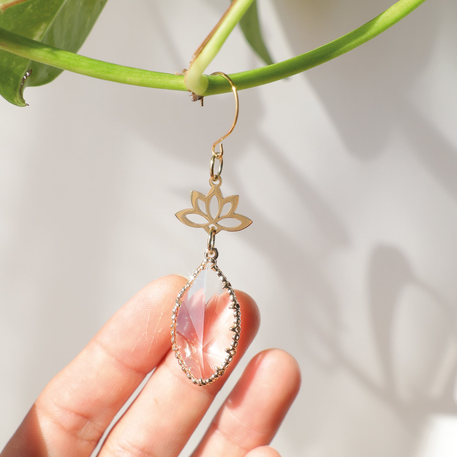 Suncatcher qui s'accroche à une plante, grâce à son crochet