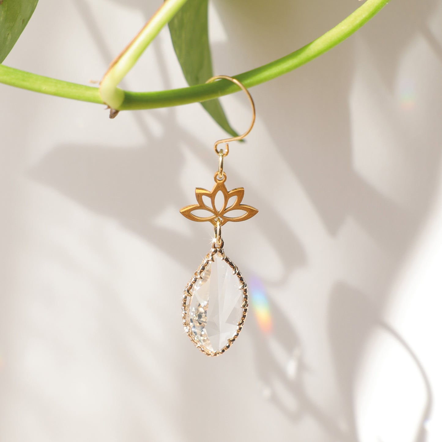 Petit Suncatcher de plante avec cristal qui reflete des éclats arcs-en-ciel dans votre décoration