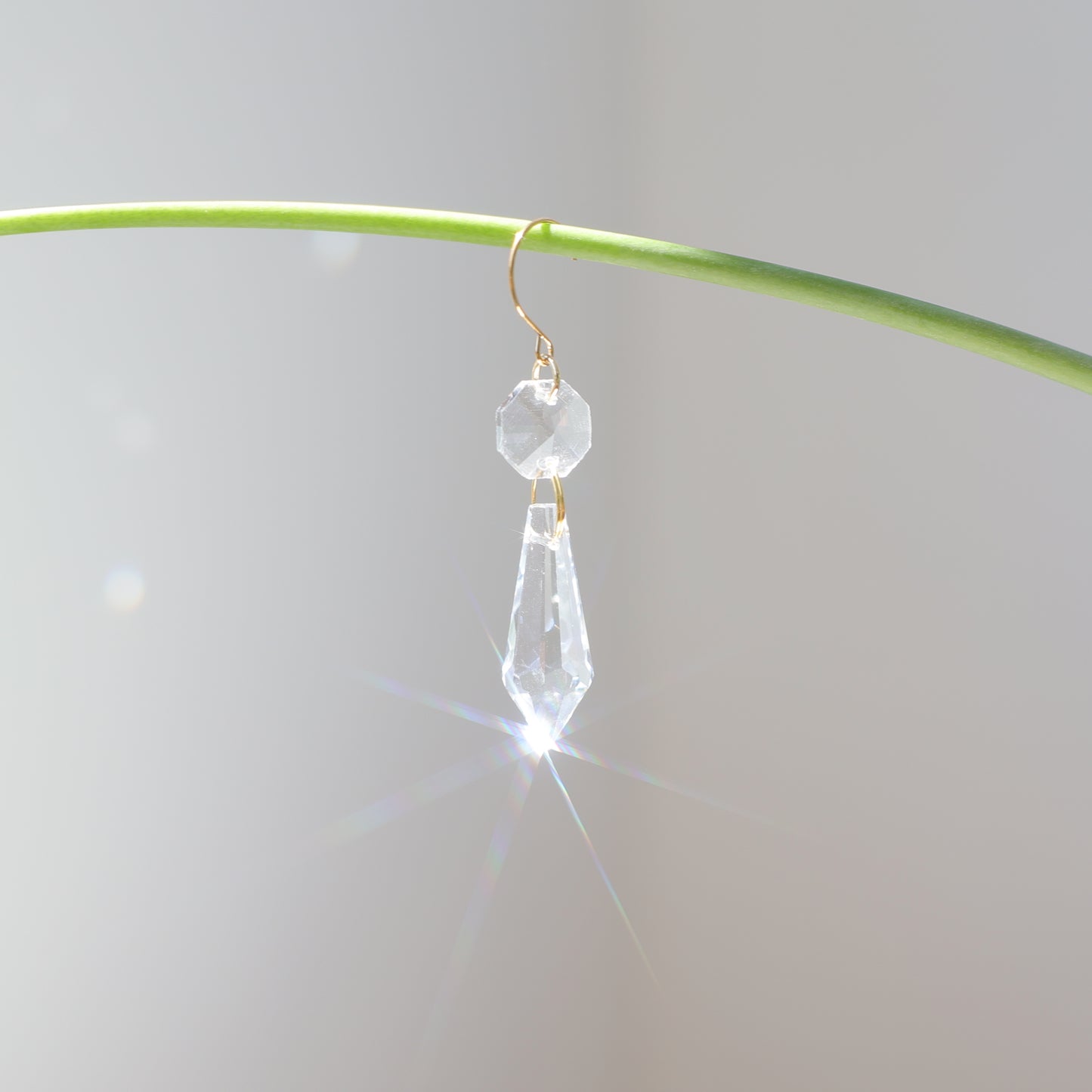 suncatcher de plante en cristal e la marque rayonne
