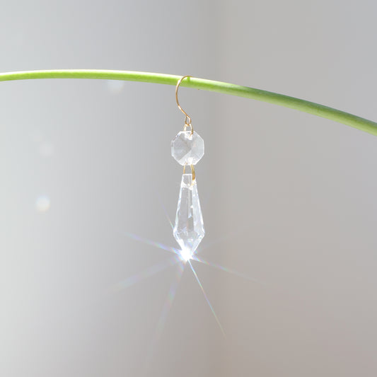 suncatcher de plante en cristal e la marque rayonne
