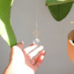 suncatcher en cristal de verre suspendu a une plante