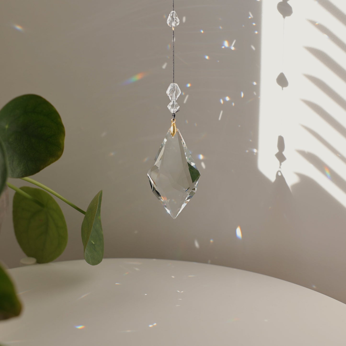 suncatcher en cristal suspendu près d'une plante