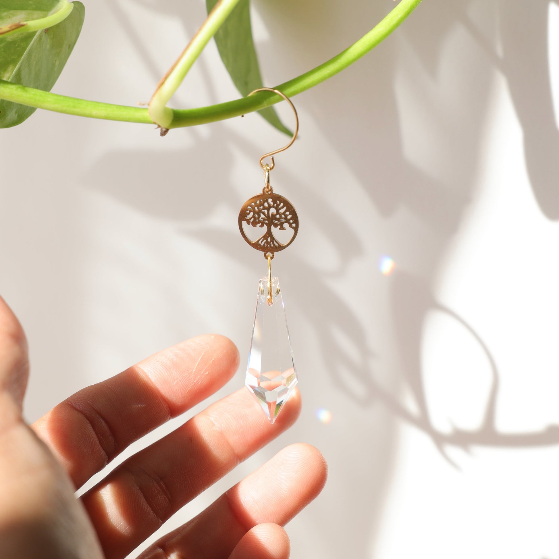 attrape soleil en cristal pour plantes