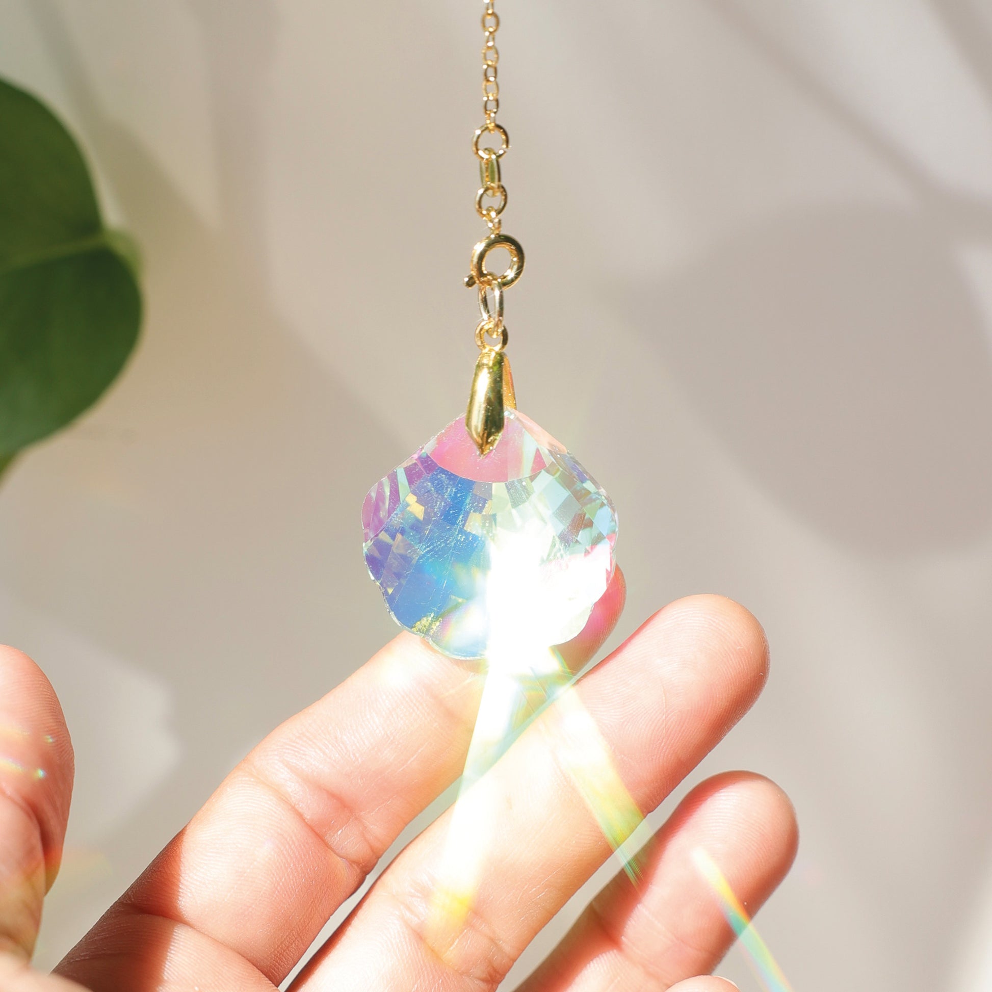 Suncatcher en cristal avec une forme de coquillage, fabriqué par Rayonne